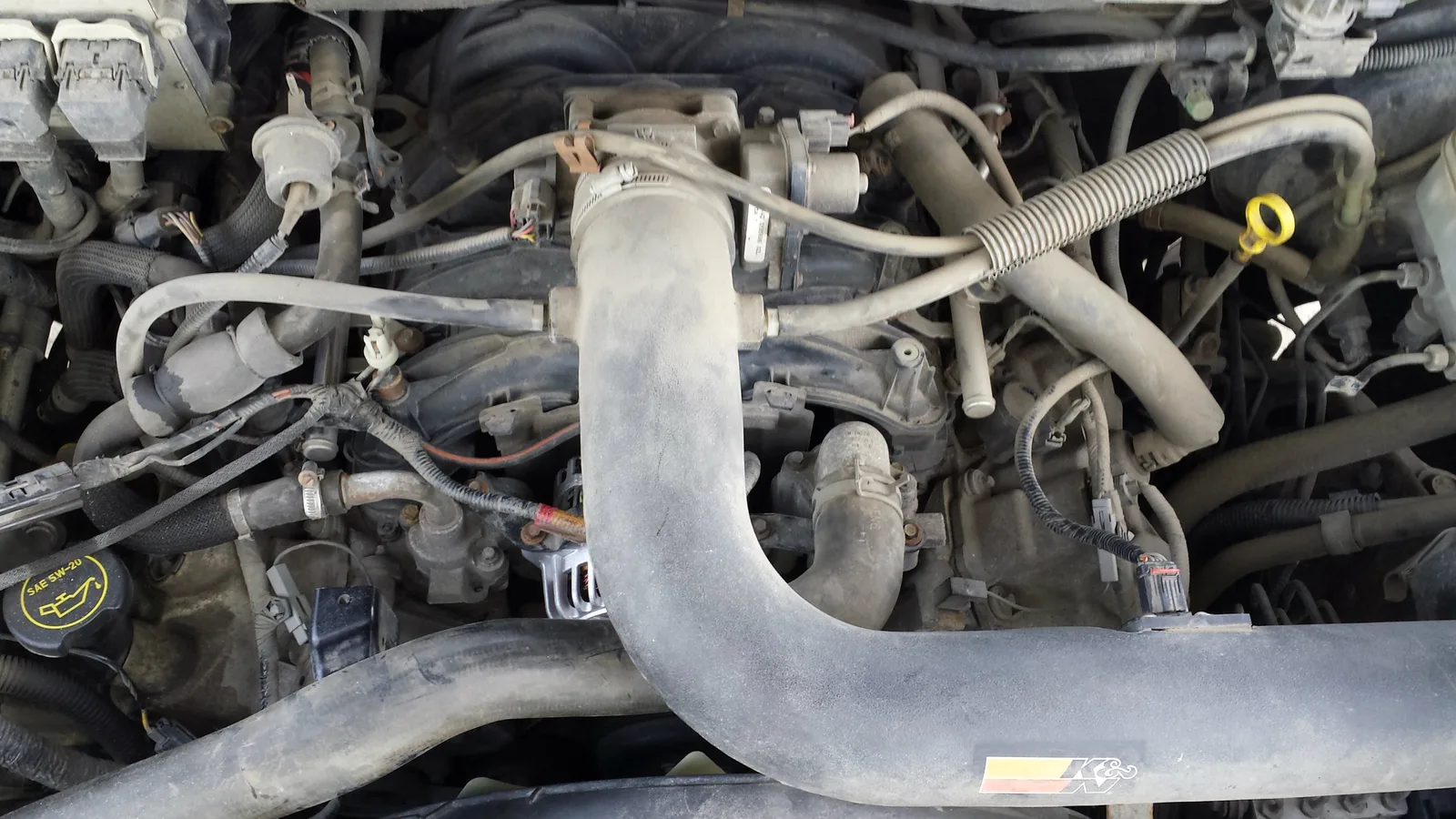 Compartiment moteur de voiture avec visibilité sur les accessoires — alternateur, durites et câblage électrique